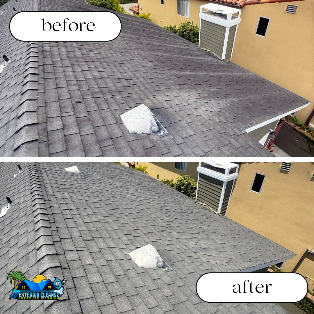 Professional Asphalt Shingle Roof Soft Wash & Algae Removal Completed in Manhattan Beach, CA