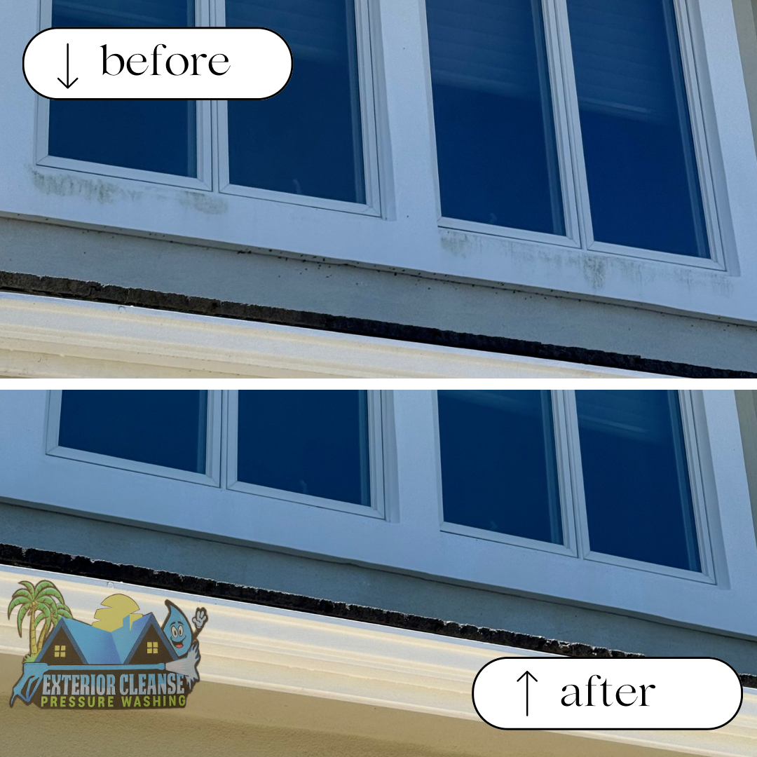 Professional House Washing and Window Cleaning Service in Palos Verdes, CA to Combat Coastal Mold and Algae