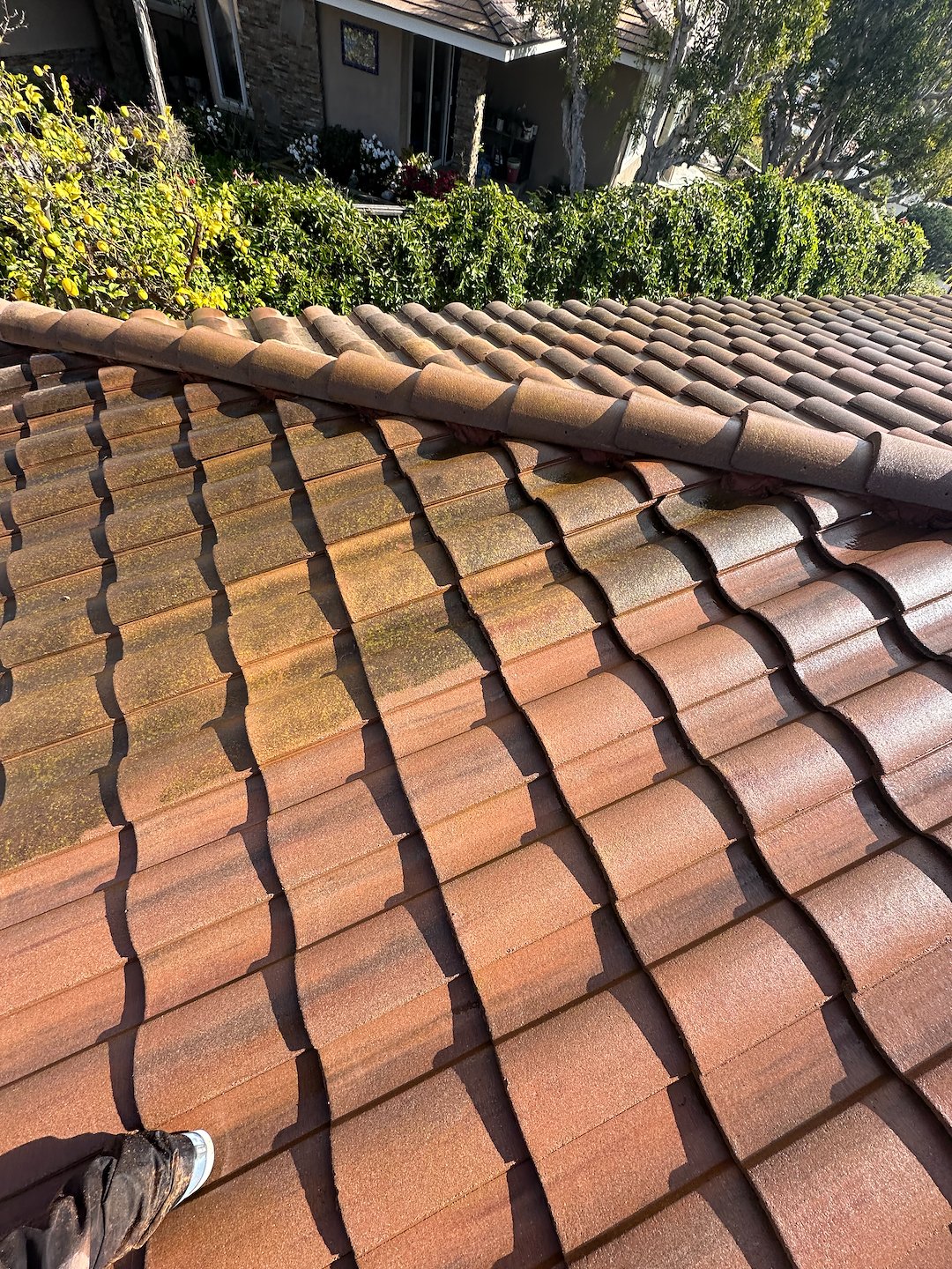 Soft Wash Treatment in Rancho Palos Verdes, CA: Spanish Tile Roof Restoration